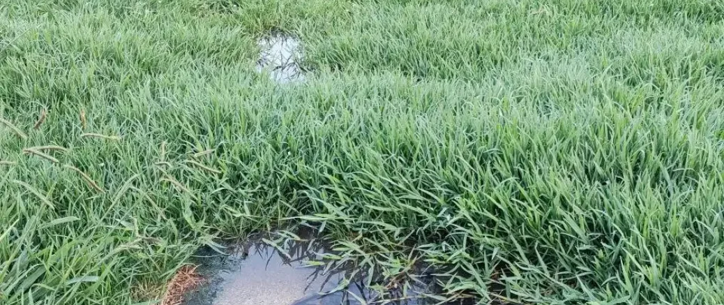 🚨 Vertido de aguas fecales amenaza el Embalse de Beche