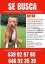 ¡Se busca a Aryan! Un perro perdido en Abegondo